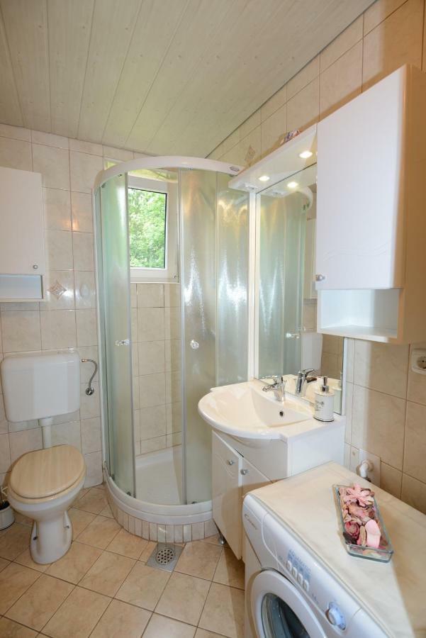 Brane Apartment Bohinj Bagian luar foto